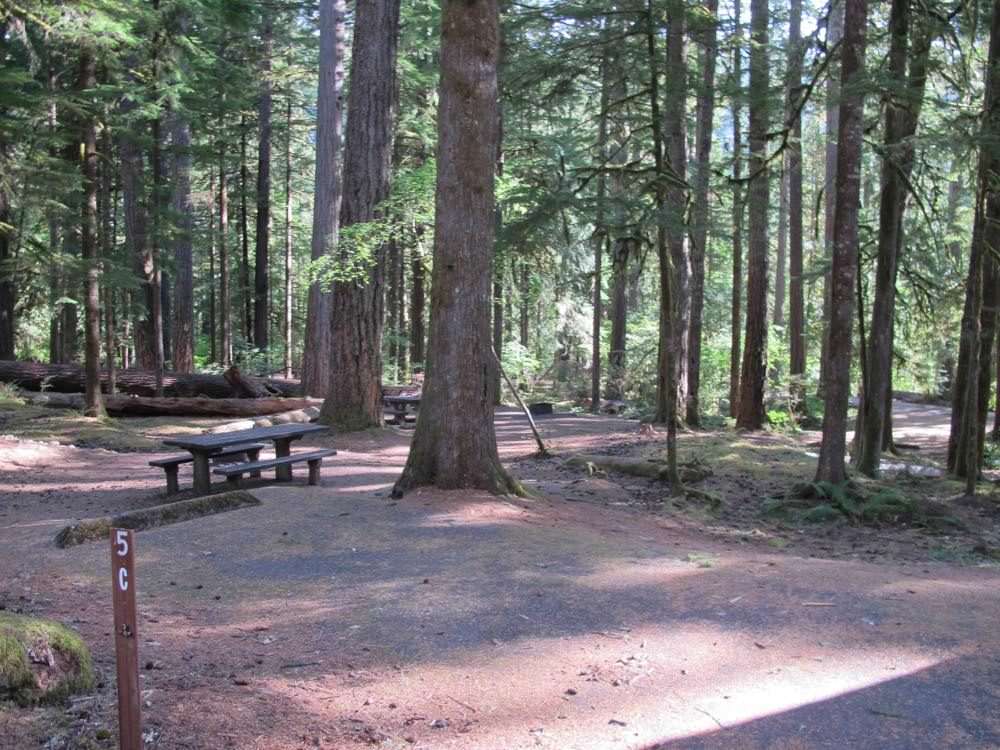 Indian Henry Campground, Clackamas River, Oregon