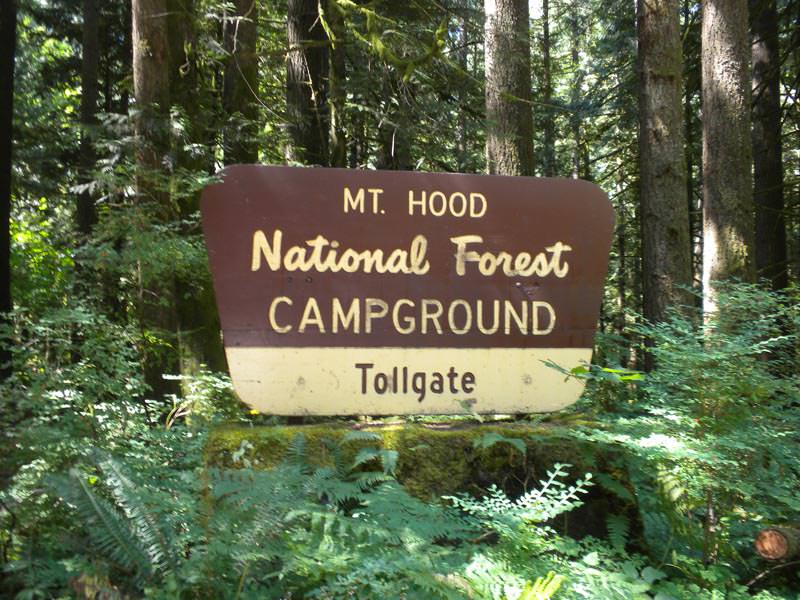 Tollgate Campground - Mt Hood National Forest