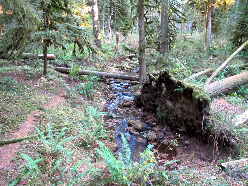 Camp Creek Campground | Mount Hood, Oregon