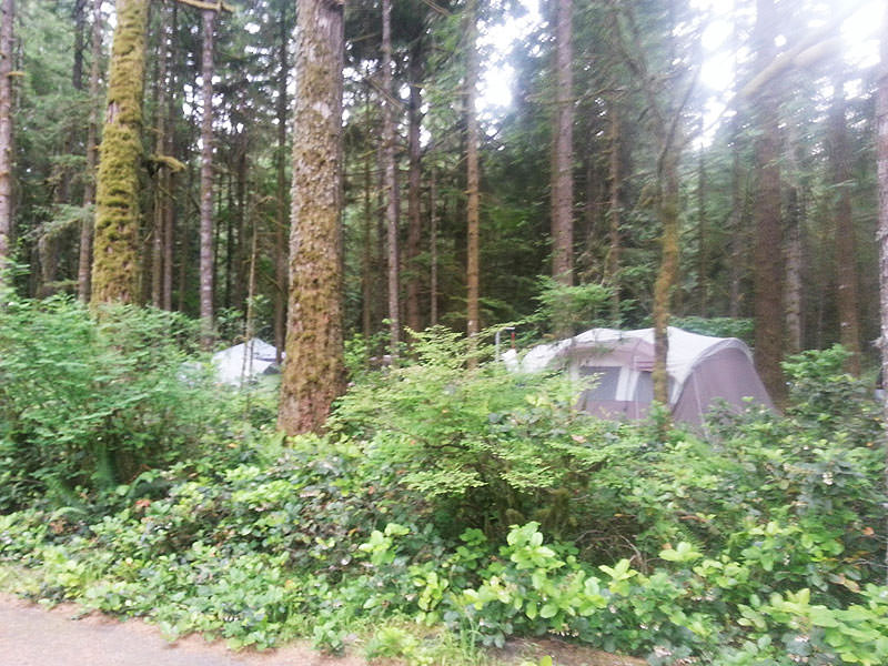 oxbow_tents