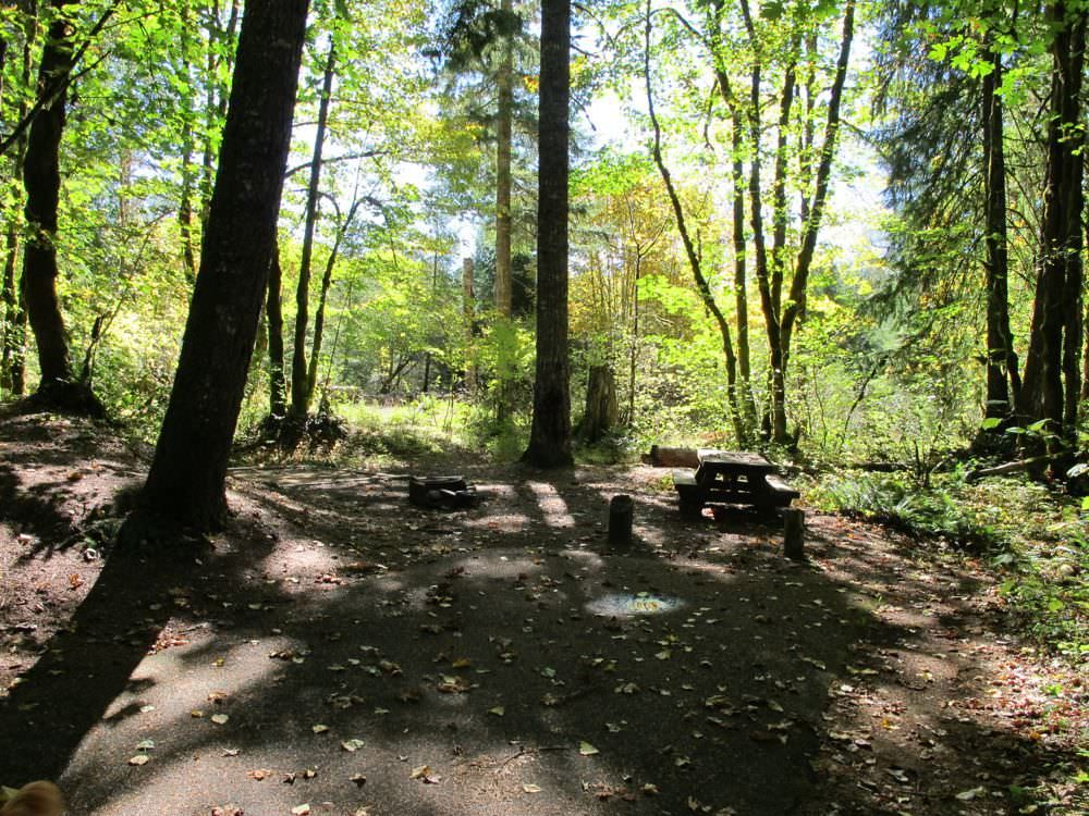 Beaver Campground Site#11