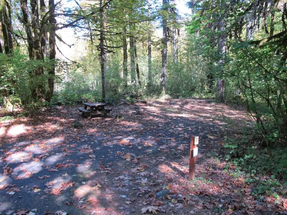 Beaver Campground Site#13