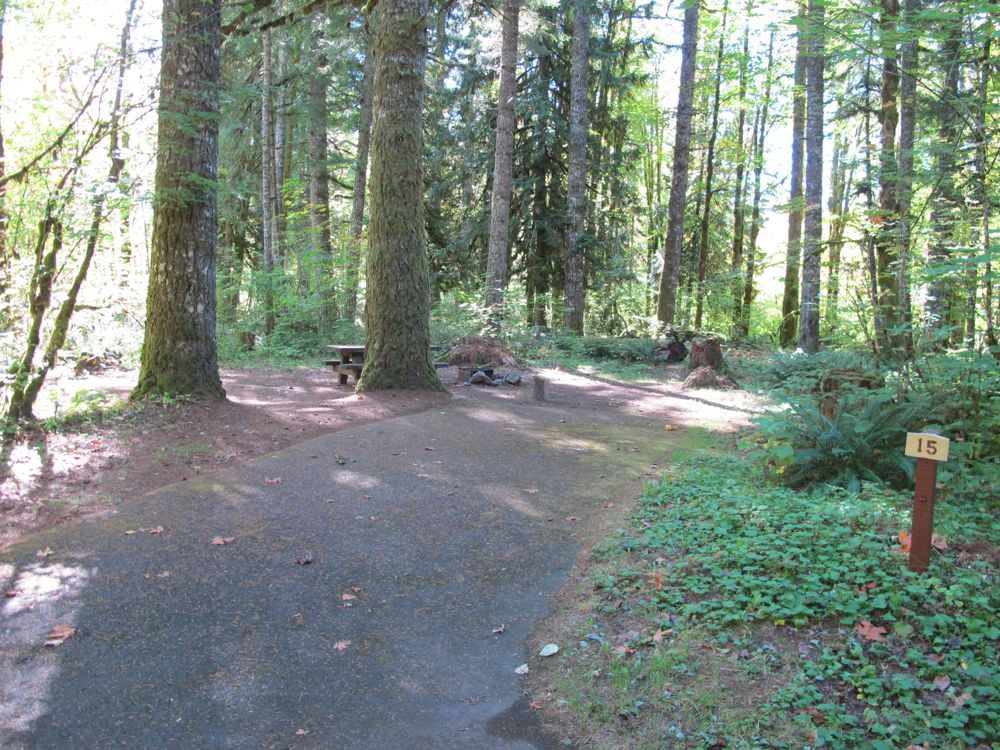 Beaver Campground Site#15