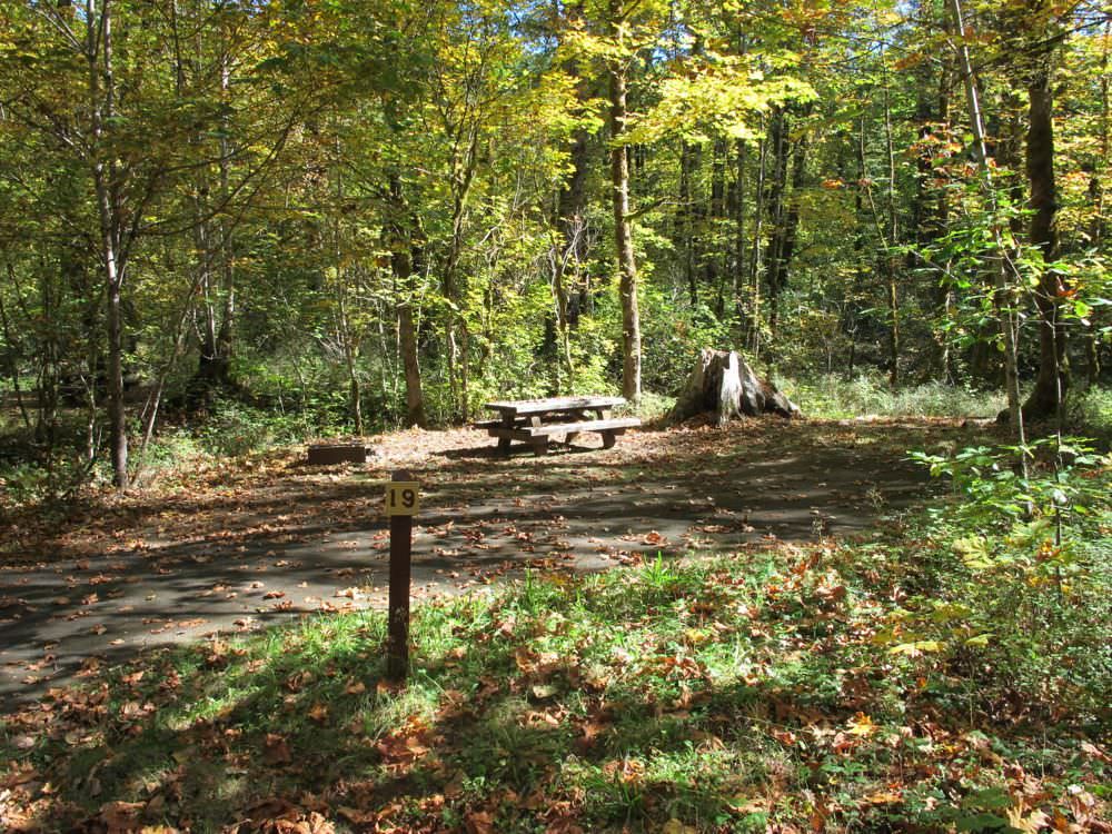 Beaver Campground Site#19