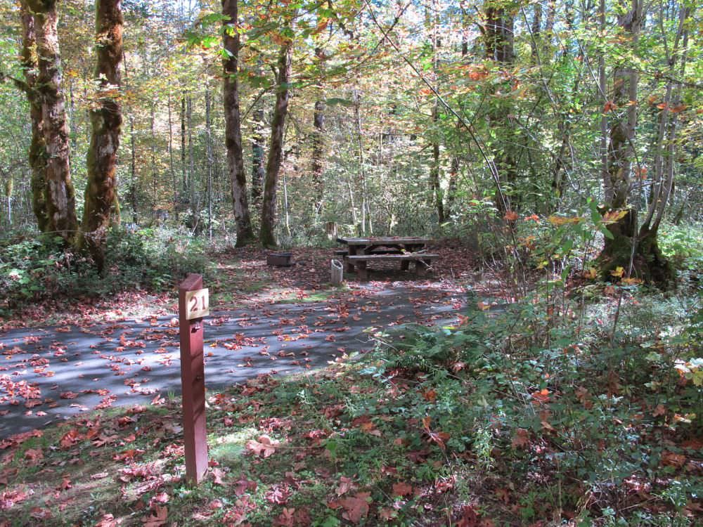 Beaver Campground Site#21