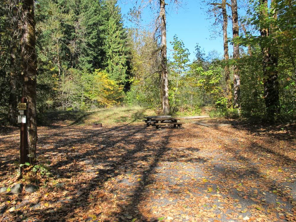 Beaver Campground Site#26