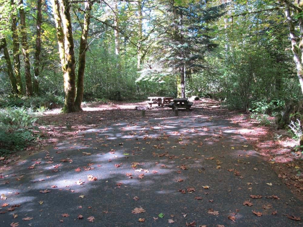 Beaver Campground Site#7D
