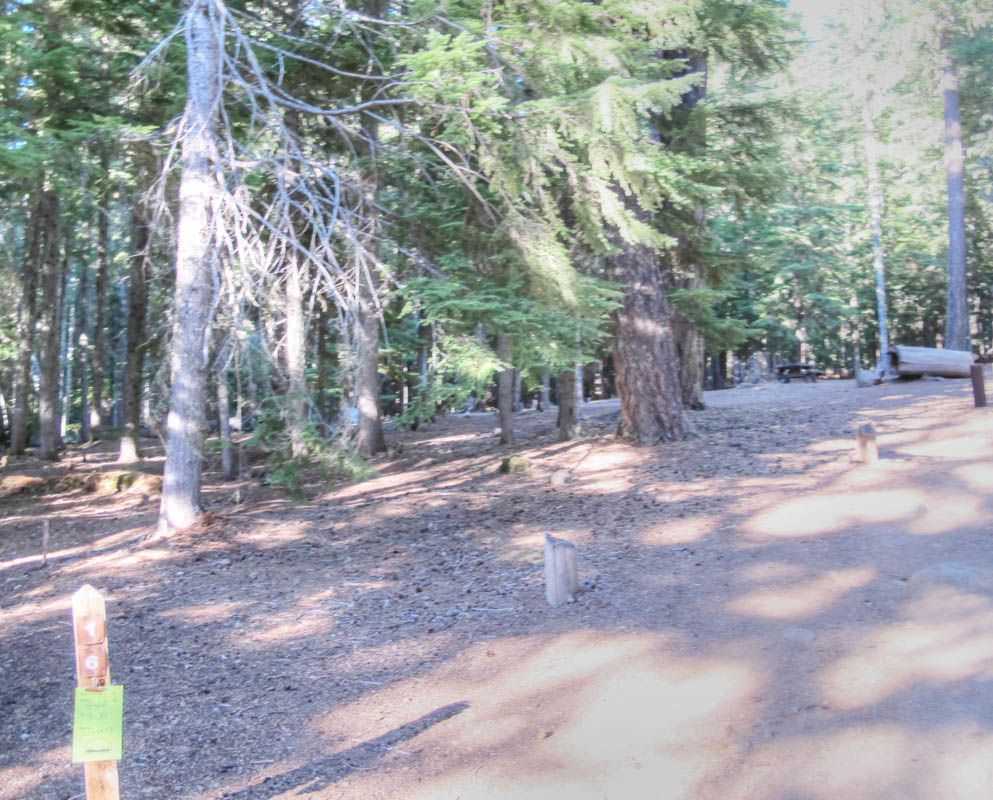 Clear Lake Campground, Mt. Hood - Oregon