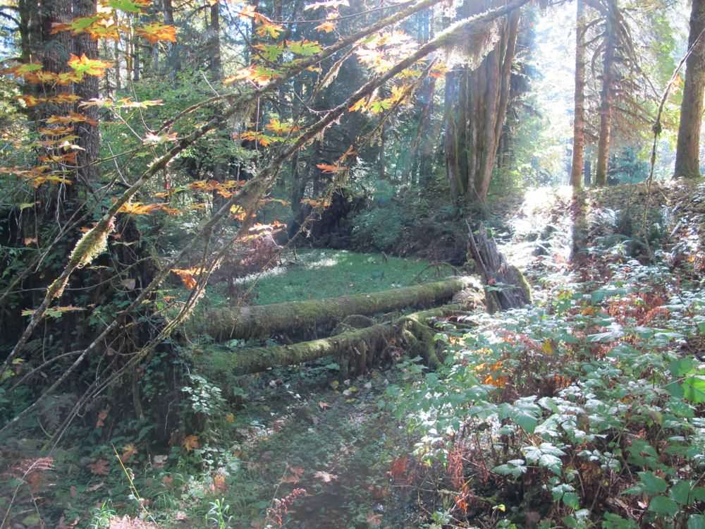 Government Mineral Springs Campground, The