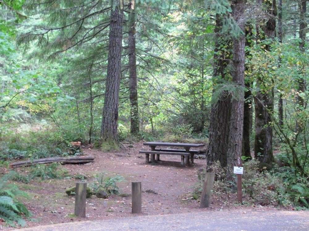 Lockaby Campground - Clackamas River Camping, Oregon