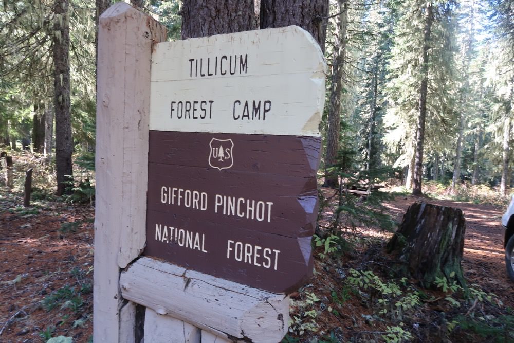 Tillicum Forest Camp