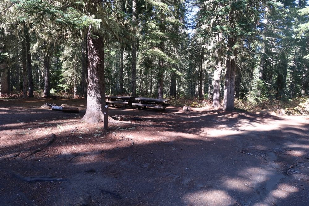 Tillicum Forest Camp Site#15
