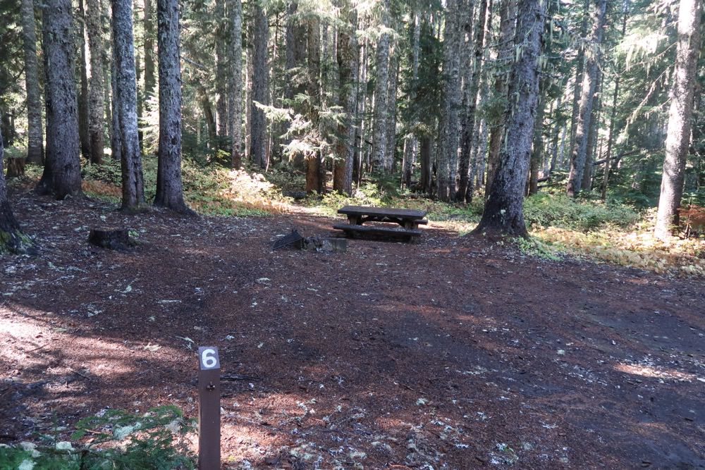 Tillicum Forest Camp Site#6