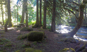 ripplebrook-campground