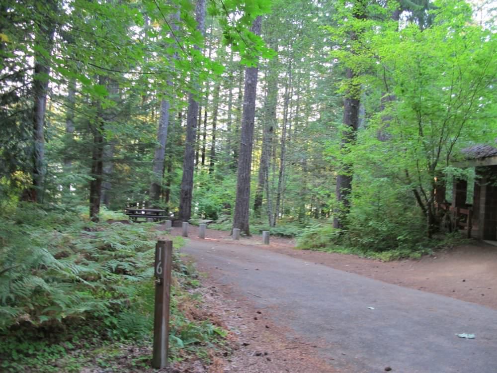 Cove Creek Campground Detroit Lake, Oregon 63 Campsites, 22 a night