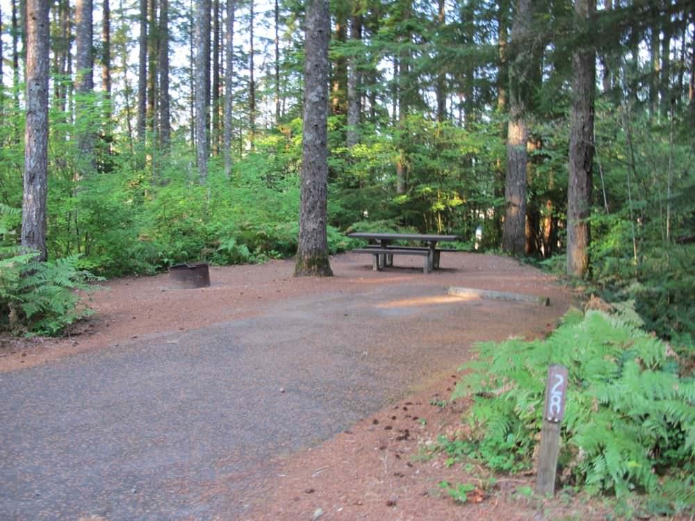 Cove Creek Campground Detroit Lake, Oregon 63 Campsites, 22 a night