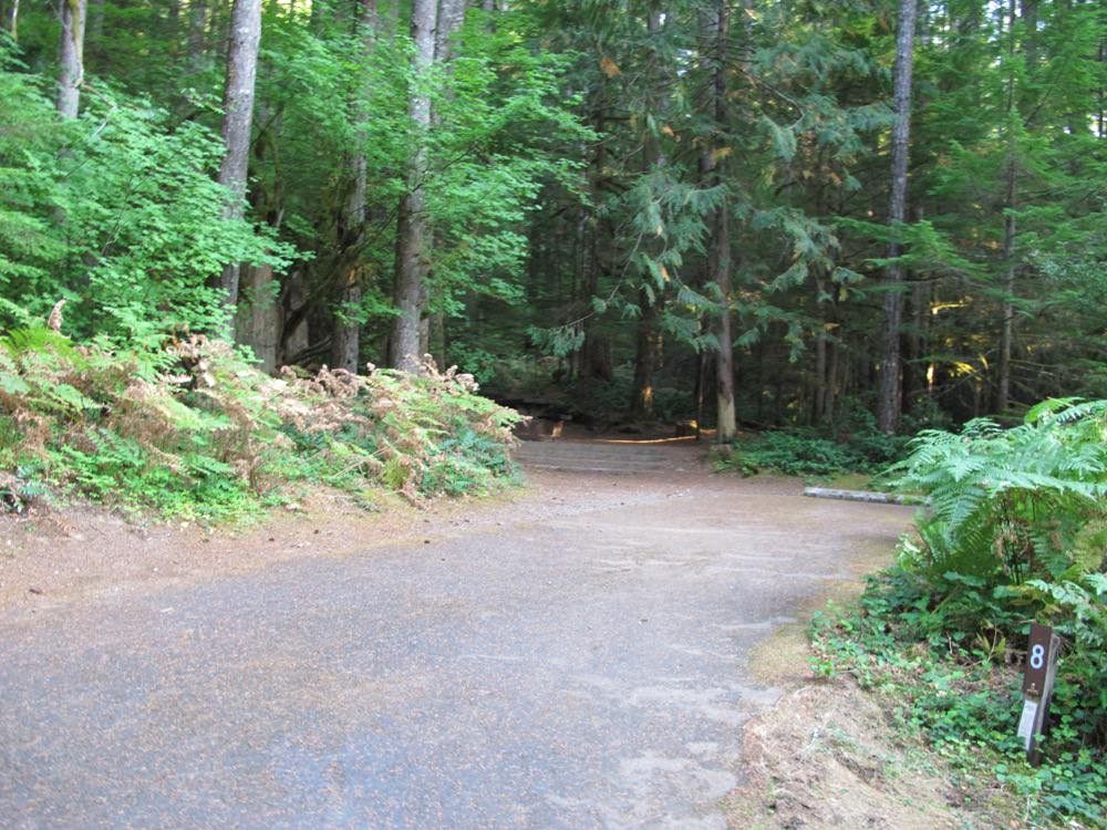 Cove Creek Campground Detroit Lake, Oregon 63 Campsites, 22 a night