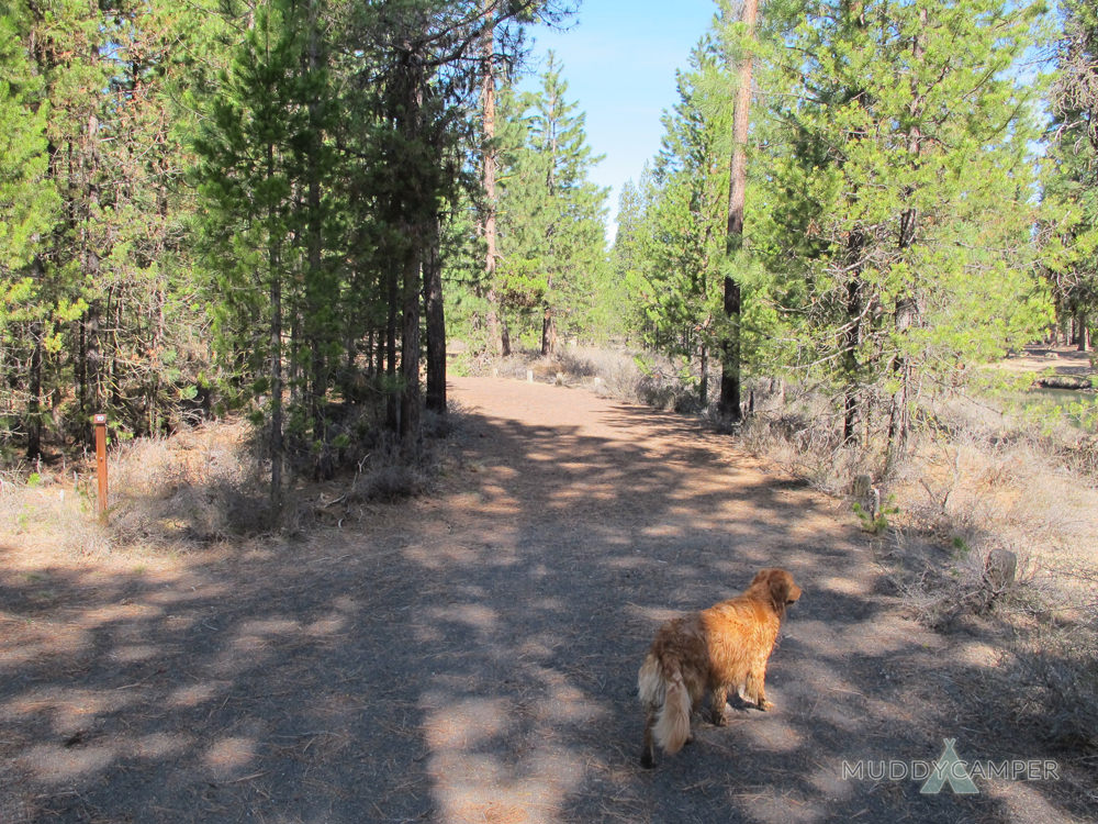 Escape to Oregon's Bull Bend: A Campground Gem