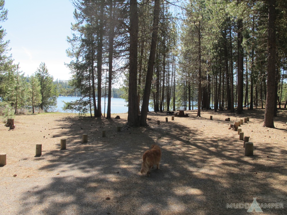 North Twin Lake Campground - Central Oregon