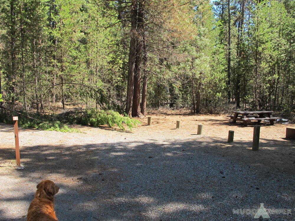 West South Twin Campground - Wickiup Reservoir, Oregon