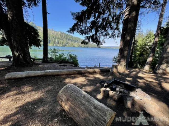 Campsite View
