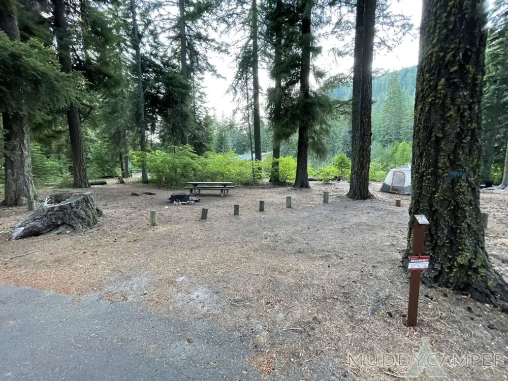 Link Creek Campground - Suttle Lake, Central Oregon