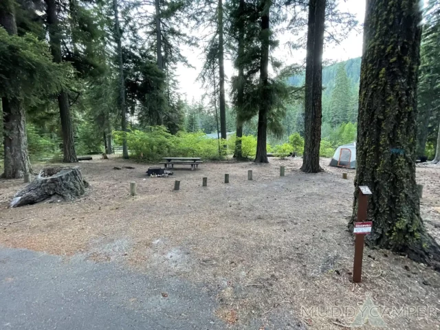 Link Creek Campground Site #24