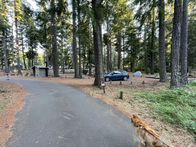 Link Creek Campground Site #26