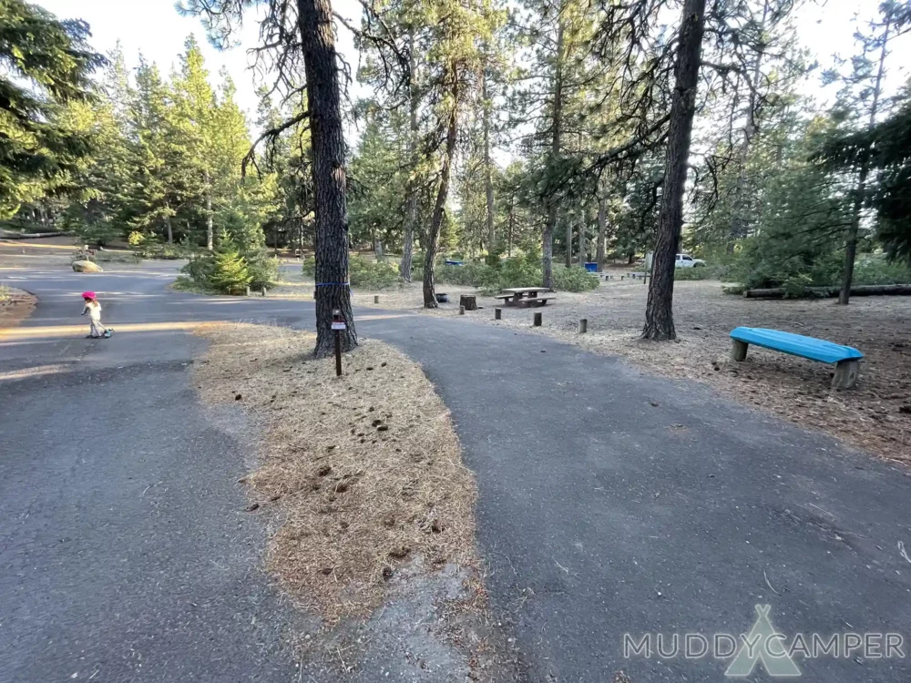 Link Creek Campground - Suttle Lake, Central Oregon