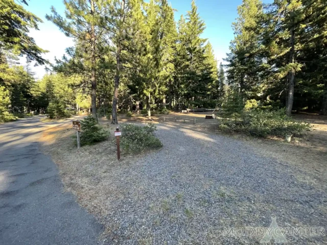 Link Creek Campground Site #2