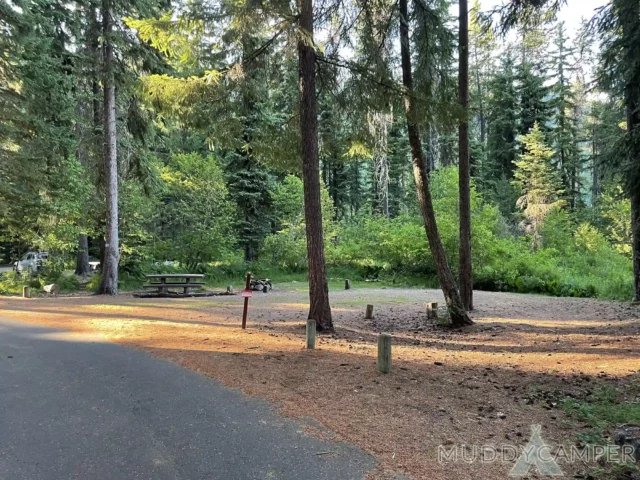 Link Creek Campground Site #18