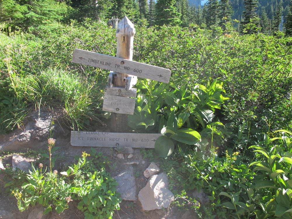 Timberline Trail Junction
